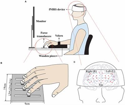 Frequency-Dependent Effects on Coordination and Prefrontal Hemodynamics During Finger Force Production Tasks